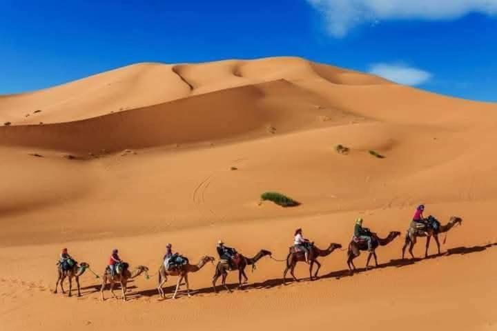 Bivouac Camel Trips Hotel เมอร์ซูกา ภายนอก รูปภาพ