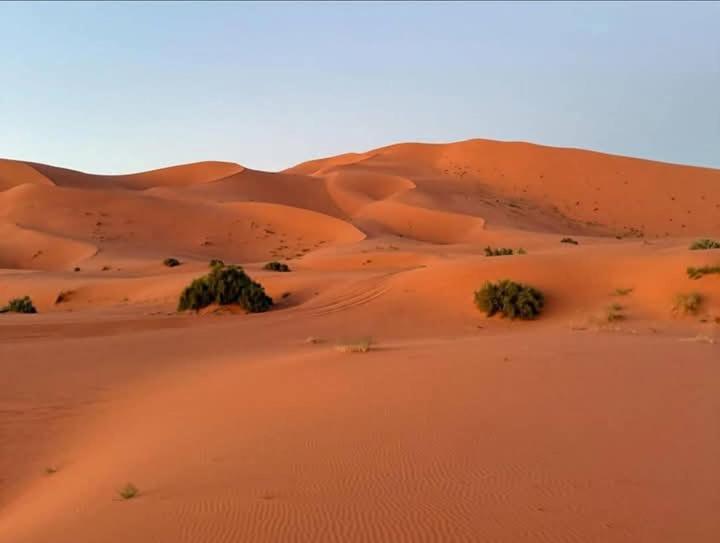 Bivouac Camel Trips Hotel เมอร์ซูกา ภายนอก รูปภาพ