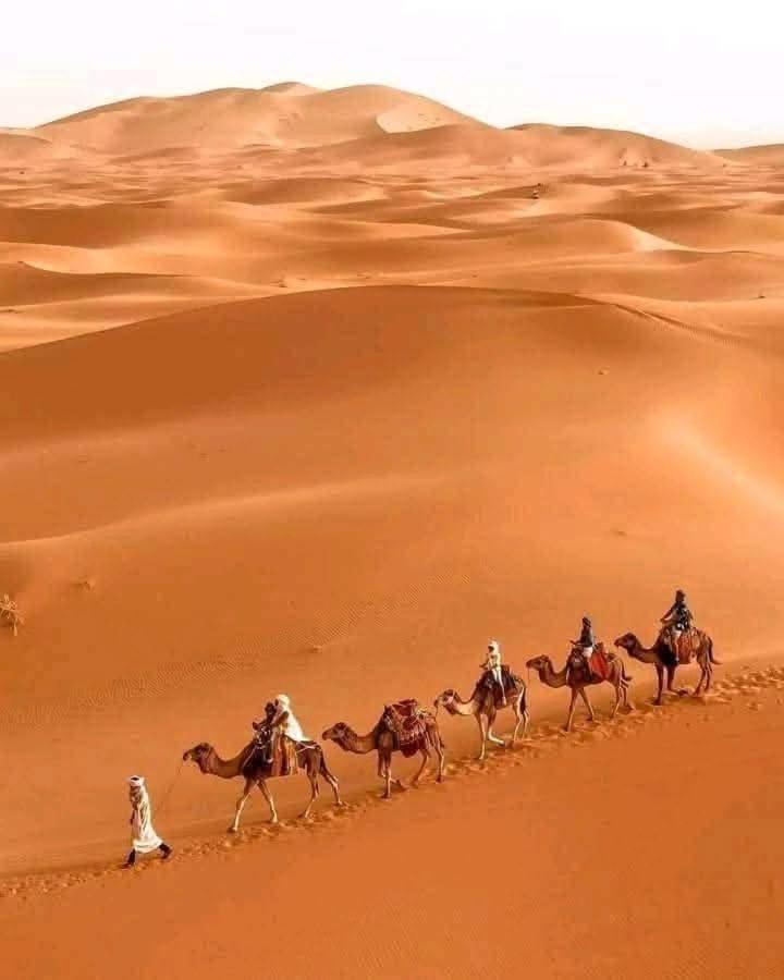 Bivouac Camel Trips Hotel เมอร์ซูกา ภายนอก รูปภาพ